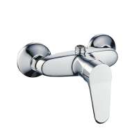 OEM european modern hot cold wall mounted brass shower faucets