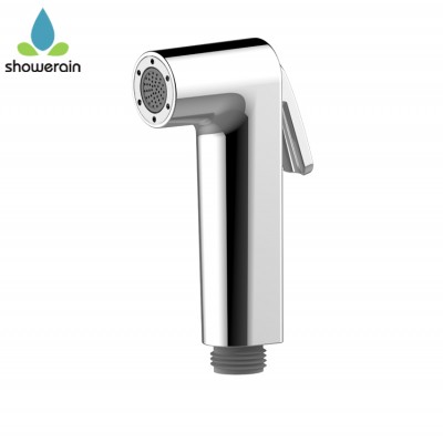 Chrome Finish And Complete Accessories  Handheld Shattaf Bidet Spray For Toilet With Brushed